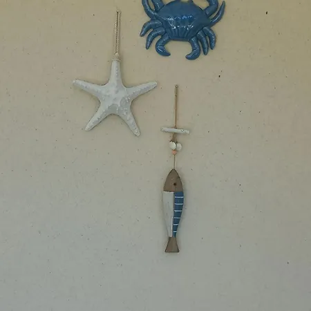 Maison Charmante A Avec Vue Sur Jardin Et Terrasses * Mimizan-Plage