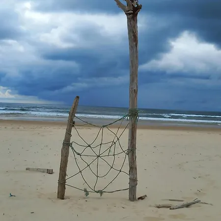 Maison Charmante A Avec Vue Sur Jardin Et Terrasses Mimizan-Plage