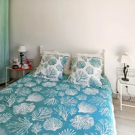 Maison Charmante A Avec Vue Sur Jardin Et Terrasses Mimizan-Plage